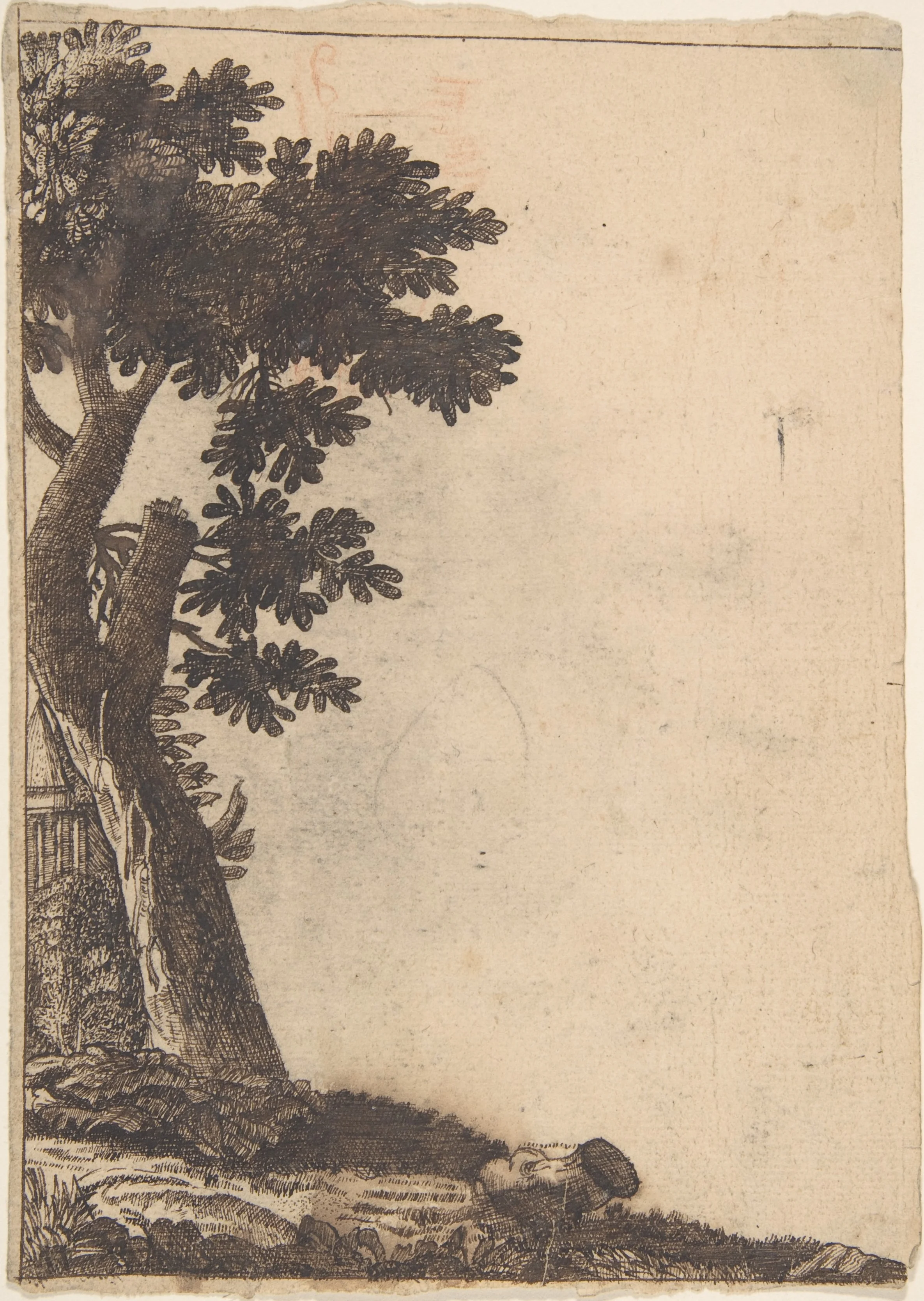Study of a Tree