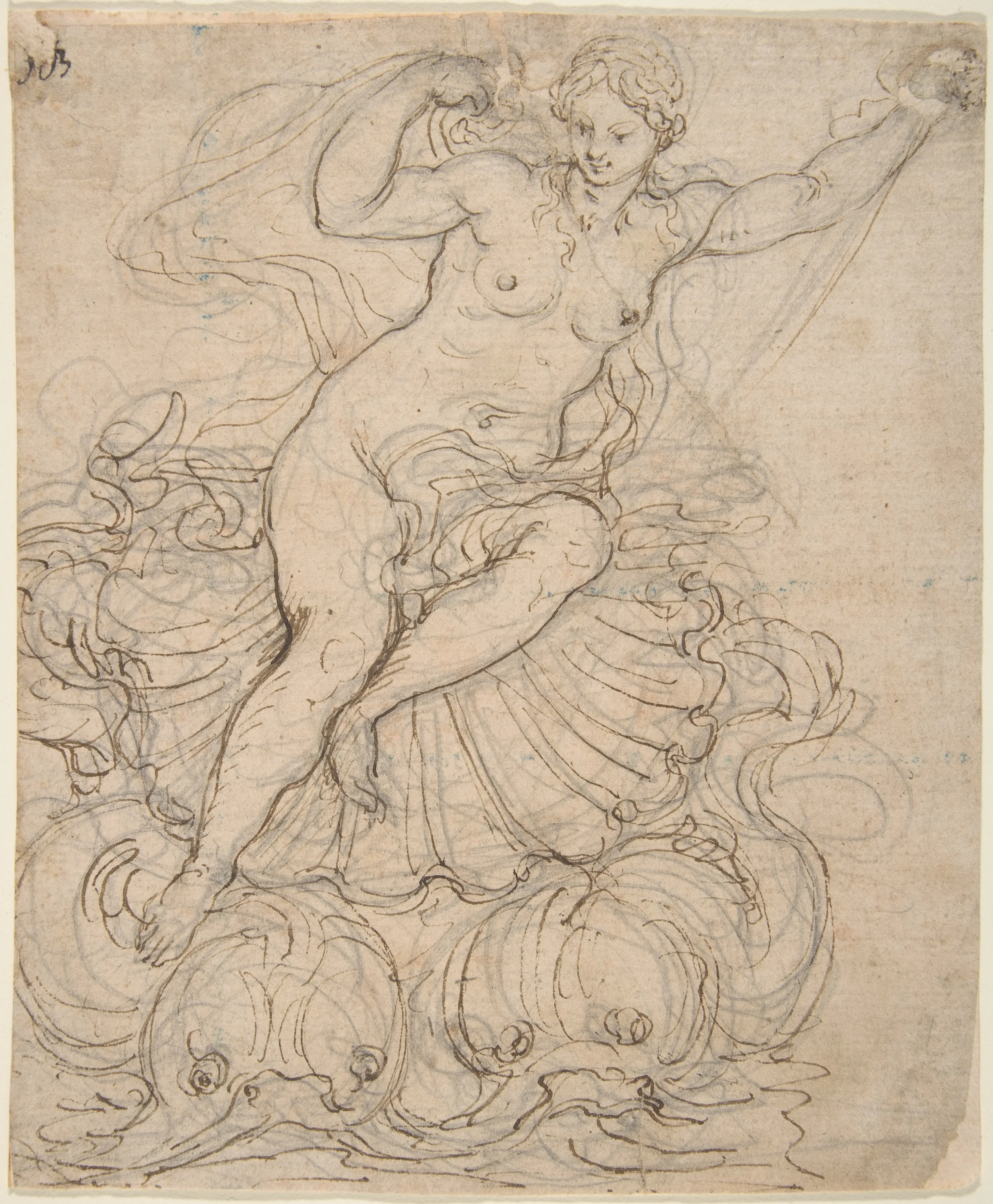 Galatea on her Chariot drawn by Dolphins