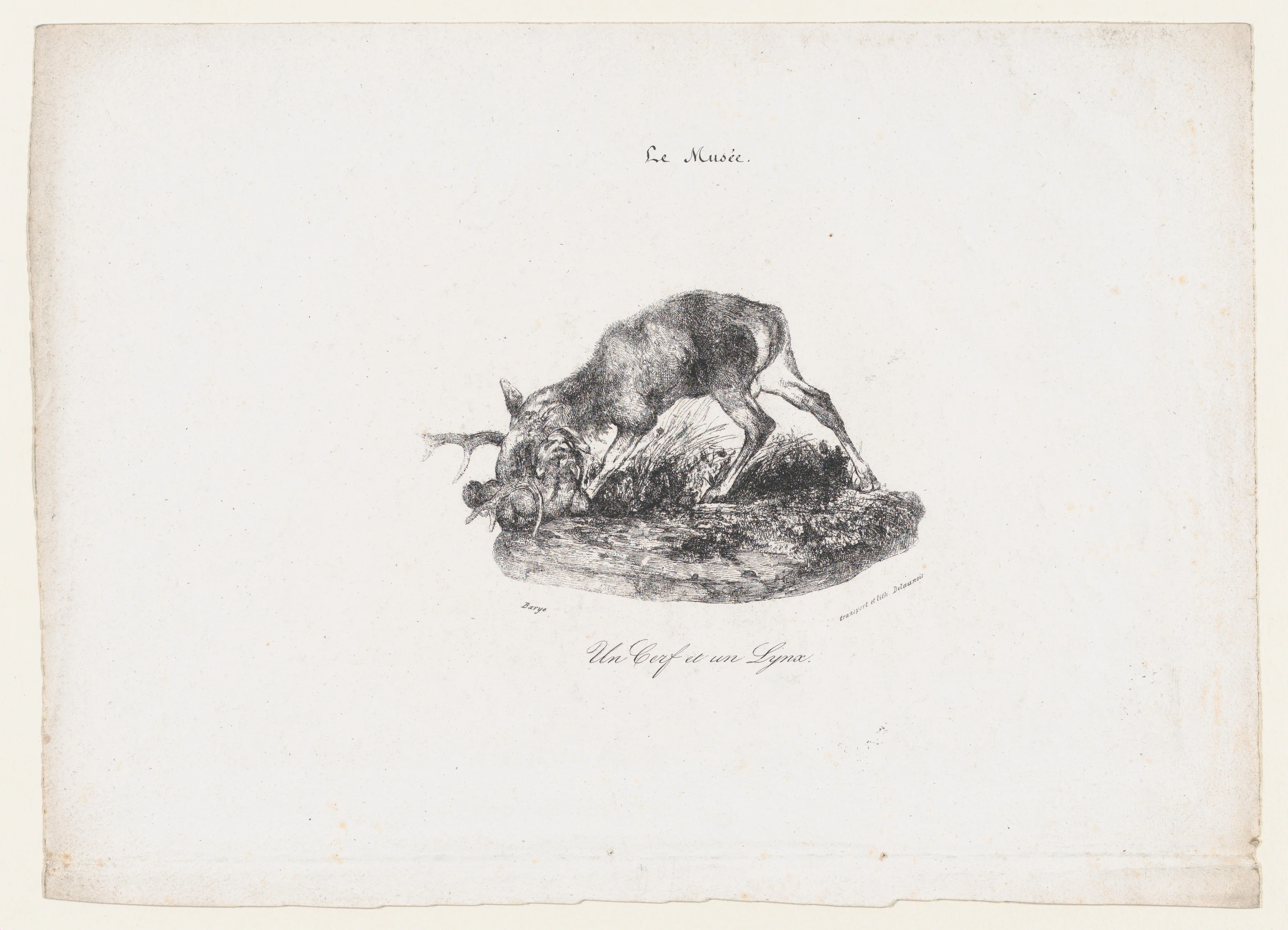 A Deer and a Lynx